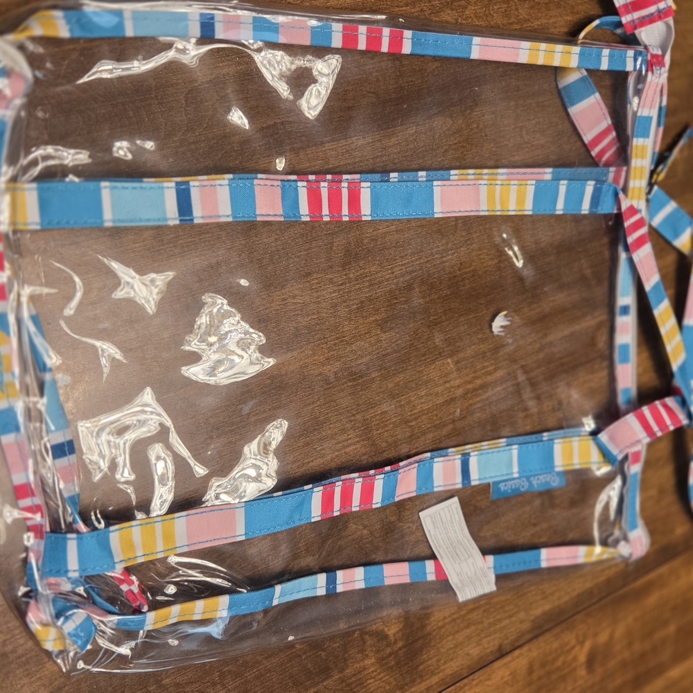 Colorful Striped Clear Tote Bag